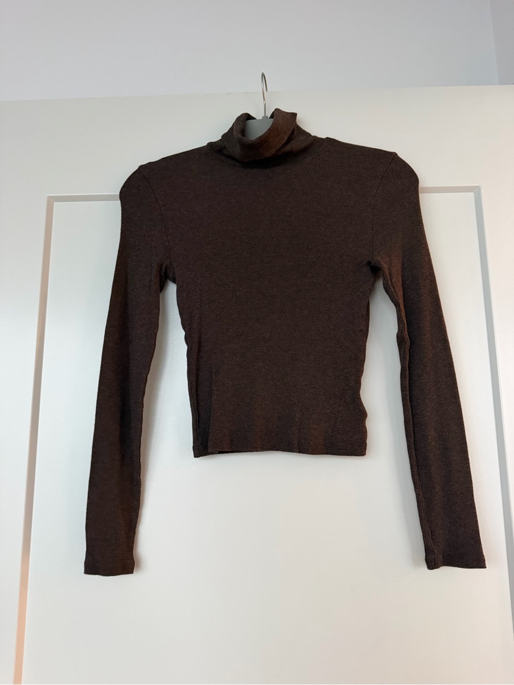 Madewell Chocolate Brown Turtleneck Long-Sleeve Top